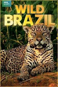 BBC. Дикая Бразилия