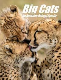National Geographic. Большие кошки: Удивительная звериная семейка