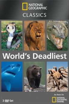 National Geographic: Աշխարհի ամենավտանգավոր կենդանիները