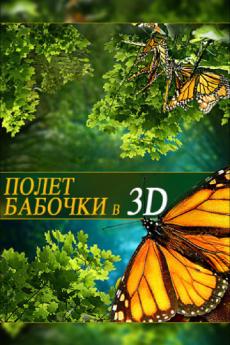 Полет бабочки 3D (видео)