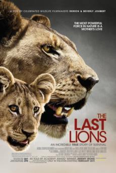 Последние львы (видео)